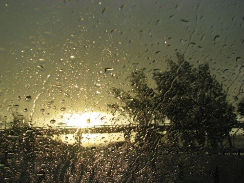 Raindrops on a window with a hazy sunset and silhouettes of trees in the background.