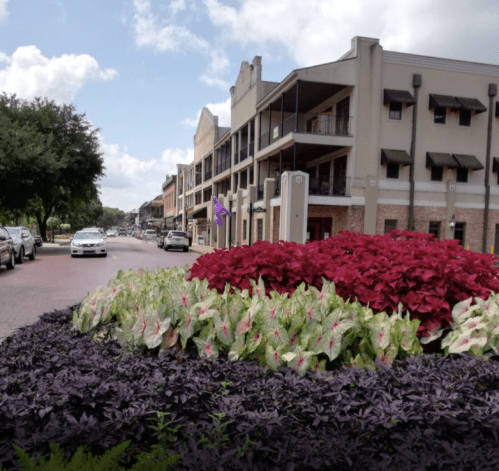 A vibrant street scene featuring colorful flowers in the foreground and buildings along a tree-lined road.