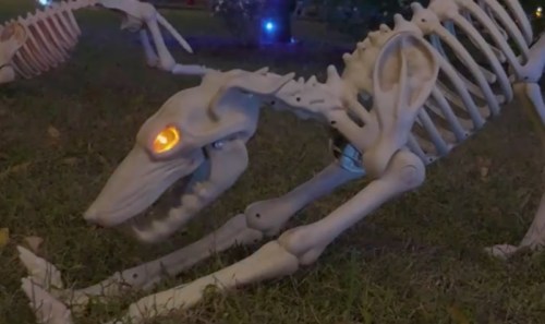 A skeletal dog decoration with glowing eyes, positioned on grass, creating a spooky Halloween atmosphere.