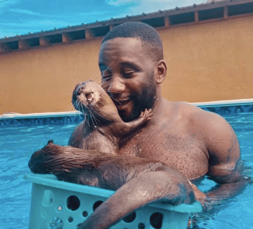 A man in a pool holds a basket with two playful otters, one nuzzling against him, creating a joyful scene.