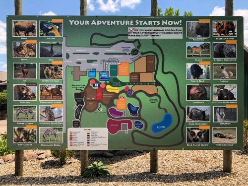 Map of a zoo featuring animal exhibits, attractions, and a welcome message: "Your Adventure Starts Now!"