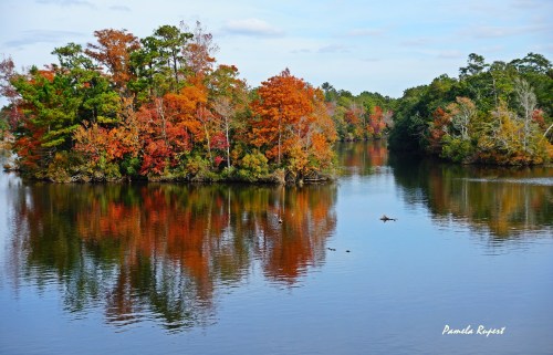 A serene river scene with vibrant autumn trees reflecting in the water under a clear blue sky.
