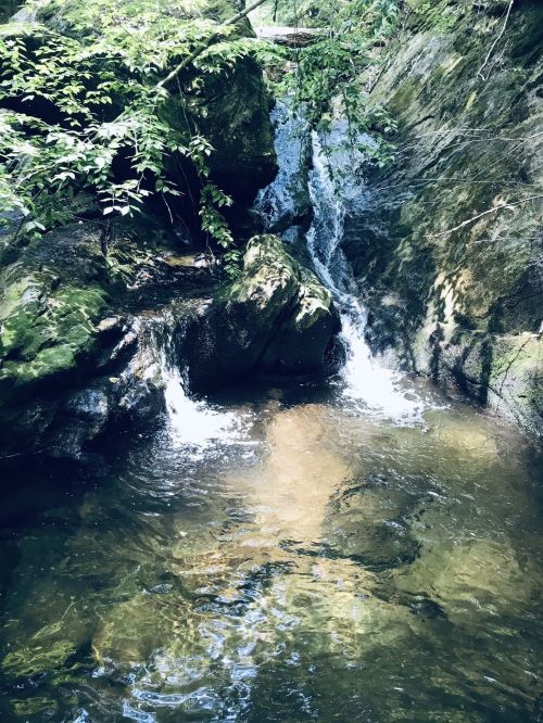 A serene stream flows over moss-covered rocks in a lush, green forest. Sunlight reflects on the water's surface.