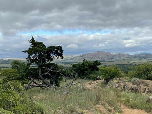A scenic landscape featuring a lone tree, rocky terrain, and rolling hills under a cloudy sky.