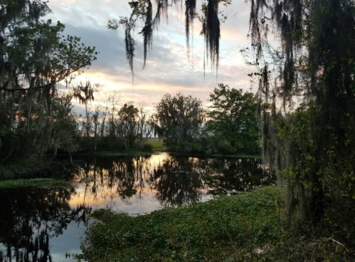 A serene sunset over a calm pond, surrounded by trees and Spanish moss, reflecting colorful clouds in the water.
