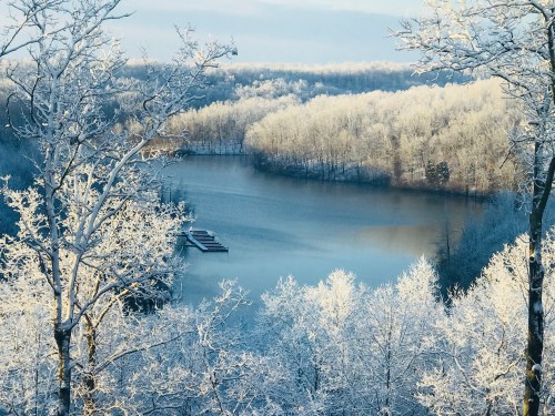 A serene winter landscape featuring a frozen lake surrounded by snow-covered trees and a clear blue sky.