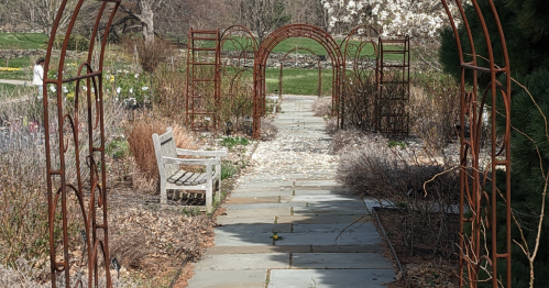 A stone pathway lined with rusted arches, leading through a garden with sparse vegetation and a bench on the side.