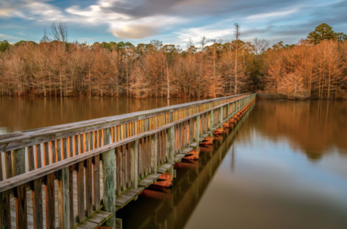 A wooden pier extends over calm water, surrounded by trees with autumn foliage under a cloudy sky.