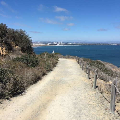A scenic dirt path leads towards a bay with a city skyline in the distance under a clear blue sky.