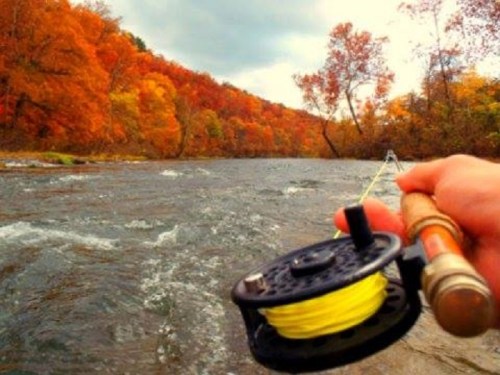 A hand holds a fishing reel with yellow line, overlooking a river surrounded by vibrant autumn foliage.