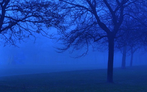 A foggy park scene with bare trees silhouetted against a blue mist, creating a mysterious atmosphere.