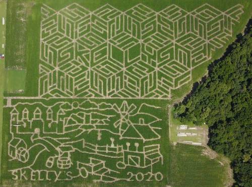 Aerial view of a corn maze featuring geometric patterns and a farm scene with a windmill and tractor.