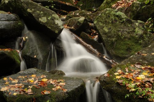 A serene waterfall cascades over moss-covered rocks, surrounded by autumn leaves.