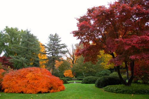 A vibrant autumn garden with red and orange foliage, lush green grass, and trees in various fall colors.
