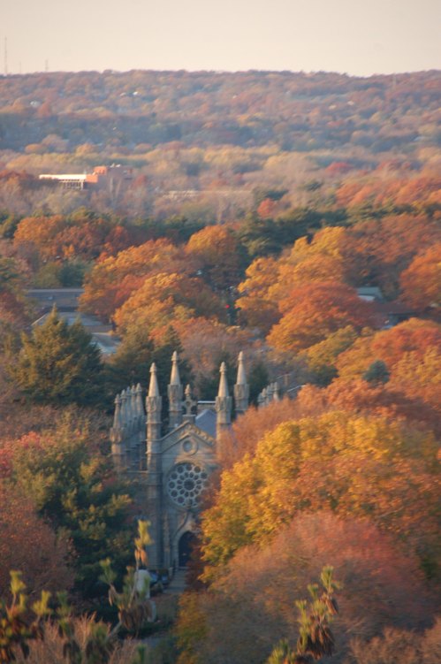 Aerial view of a gothic-style building surrounded by vibrant autumn foliage in warm hues.