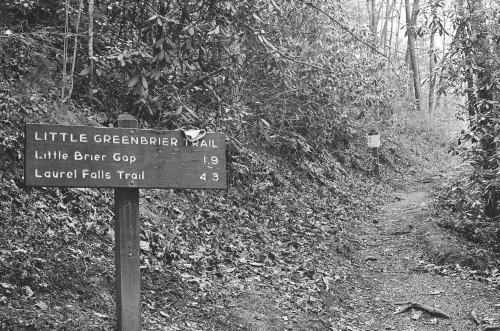 A wooden signpost indicating trail distances for Little Brier Gap and Laurel Falls Trail in a wooded area.