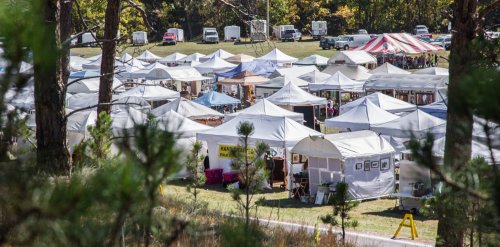 Aerial view of a bustling outdoor market with numerous white tents and colorful canopies among trees.