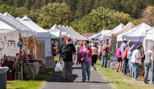 A bustling outdoor market with vendors in tents, shoppers browsing, and trees in the background on a sunny day.