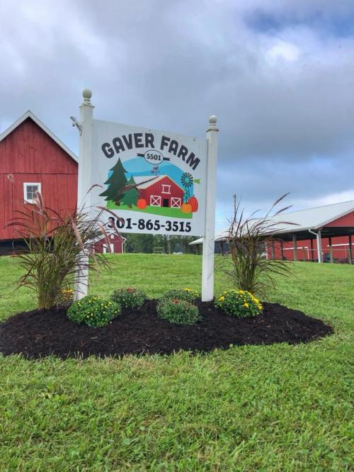 Sign for Gaver Farm with a colorful logo, surrounded by flowers and grass, set against a cloudy sky.