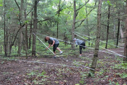 Two people navigate a web of ropes in a wooded area, surrounded by trees and greenery.