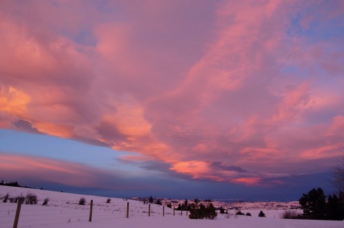 A serene winter landscape with snow-covered ground and vibrant pink and purple clouds at sunset.