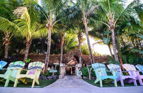 Tropical scene with colorful chairs, palm trees, and a thatched-roof entrance surrounded by lush greenery.