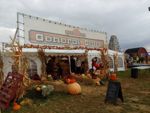 A festive general store at a farm, decorated with pumpkins and fall decor, under a cloudy sky.