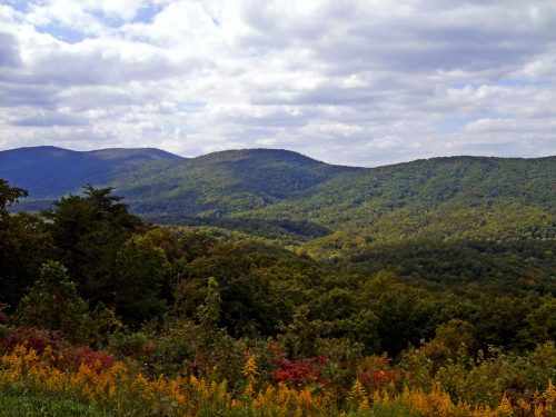 A scenic view of rolling green hills and colorful foliage under a cloudy sky.