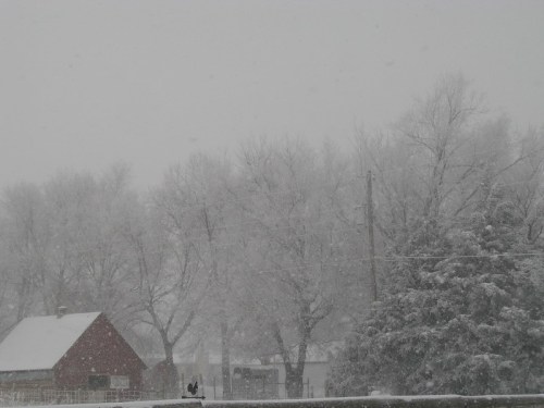 A snowy landscape with trees and a red barn, shrouded in heavy snowfall and foggy conditions.