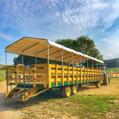 A yellow and green tractor-drawn wagon with a canopy, parked on a dirt path near a vineyard under a blue sky.