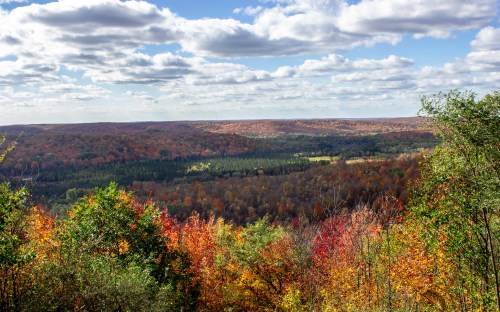 A panoramic view of a colorful autumn landscape with vibrant trees and a cloudy sky.