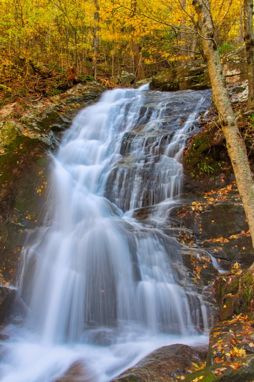 A serene waterfall cascades over rocks, surrounded by vibrant autumn foliage.