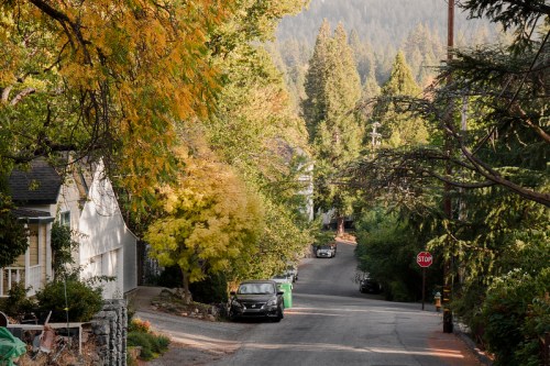 A quiet street lined with trees, showcasing autumn colors, leading into a scenic mountainous backdrop.