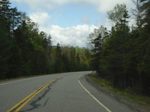 A winding road surrounded by lush green trees under a cloudy sky.