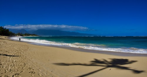 A serene beach scene with golden sand, gentle waves, and a shadow of a palm tree against a clear blue sky.