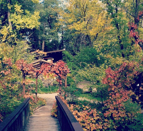 A wooden bridge leads through vibrant autumn foliage to a rustic cabin surrounded by trees.