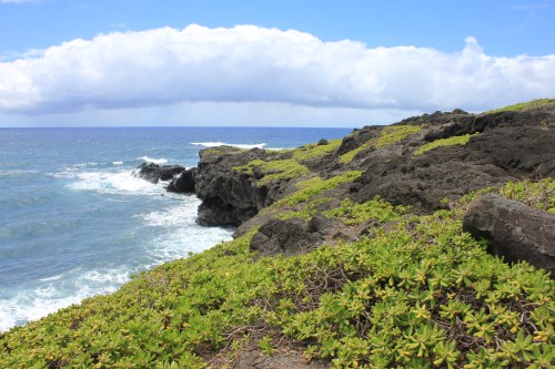 Lush green plants cover rocky coastline, with waves crashing against the shore under a partly cloudy blue sky.