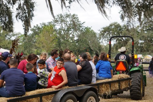 A group of people sitting on a hayride trailer pulled by a tractor, surrounded by trees and a festive atmosphere.