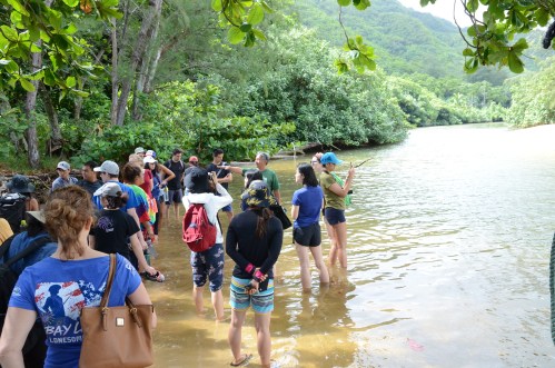 A group of people wading in shallow water near a lush, green shoreline, engaged in an outdoor activity.
