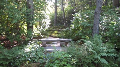 A serene forest scene featuring a stone bench surrounded by lush greenery and dappled sunlight.