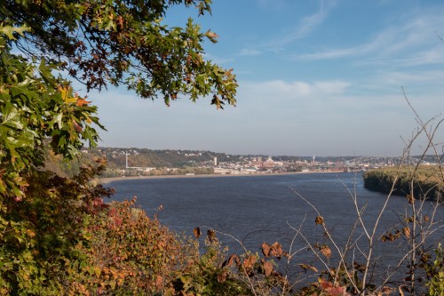 A scenic view of a river bordered by trees, with a distant city skyline under a clear blue sky.