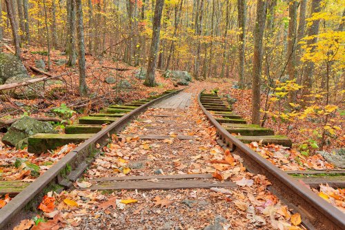A winding railway track through a colorful autumn forest, surrounded by fallen leaves and trees.
