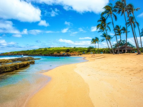 A serene beach with golden sand, clear water, and palm trees under a blue sky with fluffy clouds.