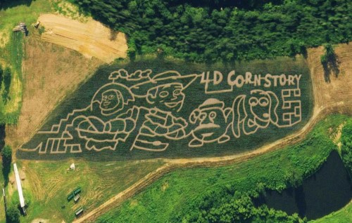 Aerial view of a corn maze featuring characters from "Toy Story" with the title "4D Corn Story" carved into the field.