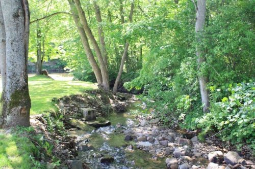 A serene stream flows through a lush green landscape, surrounded by trees and rocks.