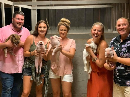 A group of five people holding piglets in a barn, smiling and enjoying their time together.