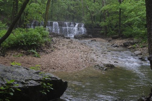 A serene forest scene featuring a small waterfall cascading over rocks into a shallow stream, surrounded by lush greenery.