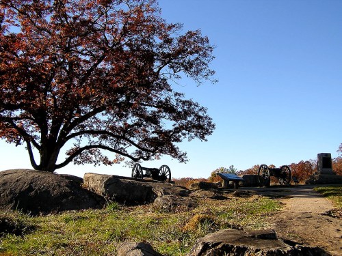 A serene landscape featuring a large tree, cannons, and rocky terrain under a clear blue sky. Autumn leaves are visible.