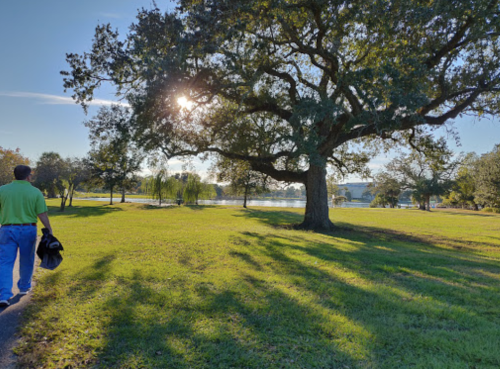 A person walks along a grassy path under a large tree, with sunlight filtering through the leaves and a lake in the background.