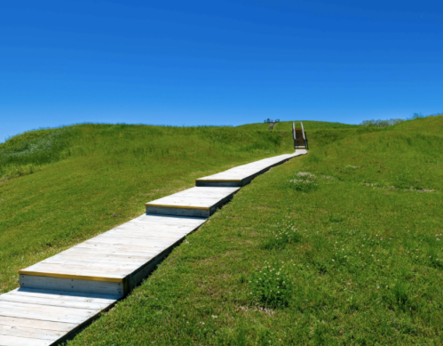 A wooden walkway leads through lush green grass under a clear blue sky.